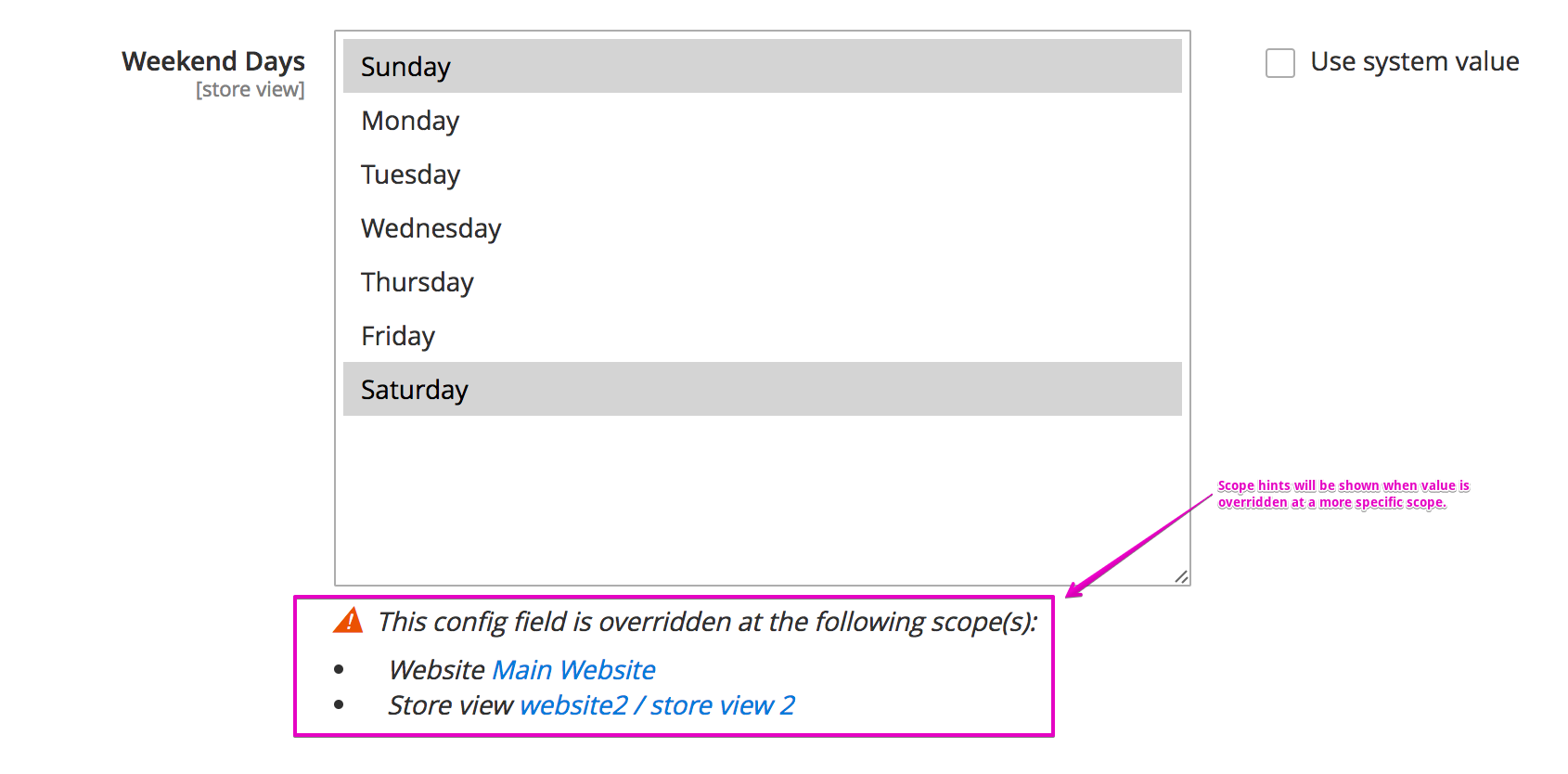 Screenshot of system config scope hints module